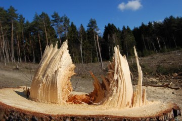 Foto: Angela Marie/Flickr