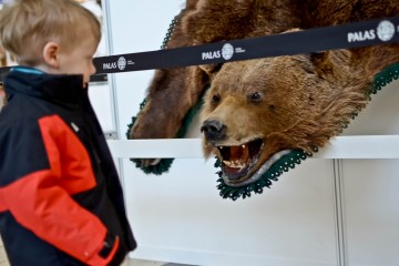 Foto: http://www.ziaruldeiasi.ro/stiri/galerii-foto-peste-100-animale-vanate-in-europa-asia-si-africa-expuse-la-iasi--88308.html